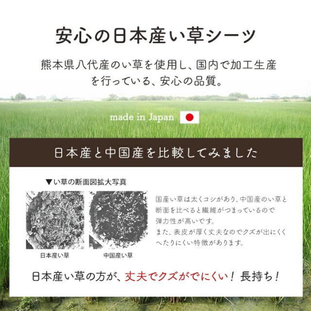 寝具 シーツ い草 吸湿 調湿効果 抗菌防臭 グリーン 88×180cm