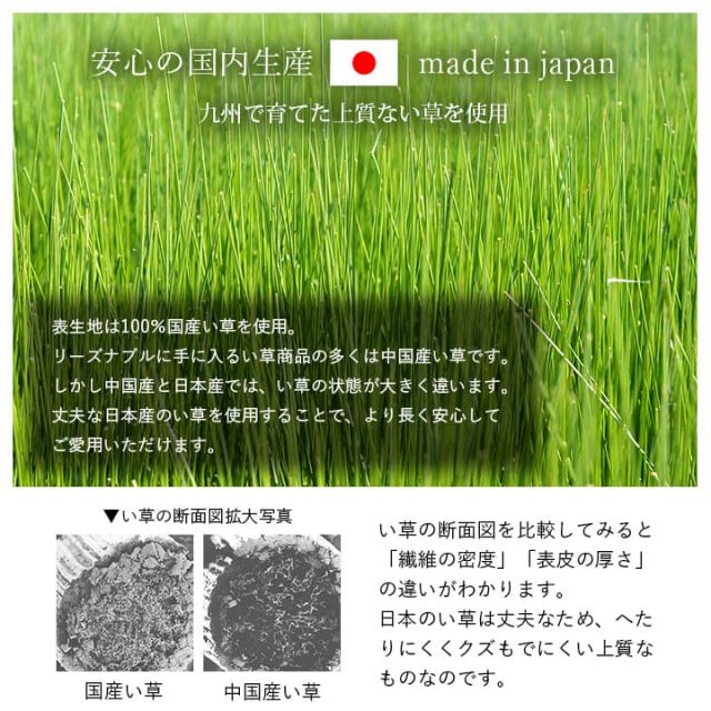 寝具 マット マットレス い草 コンパクト 調湿効果 抗菌防臭 グリーン 90×200cm