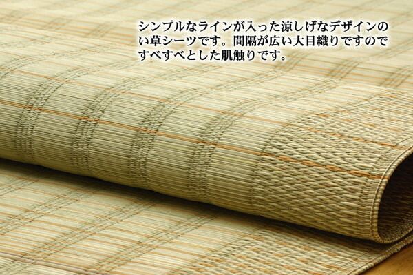 スーパSALE10倍＆4時間限定10％OFF 純国産 い草のシーツ（寝ござ） 『清風』 シングル約88×180cm