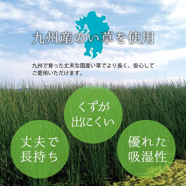 上敷き ゴザ 敷詰 カーペット い草 自然素材 日本製 国産 消臭 抗菌防臭 麻の葉 レトロ 和 江戸間10畳 約435×352cm