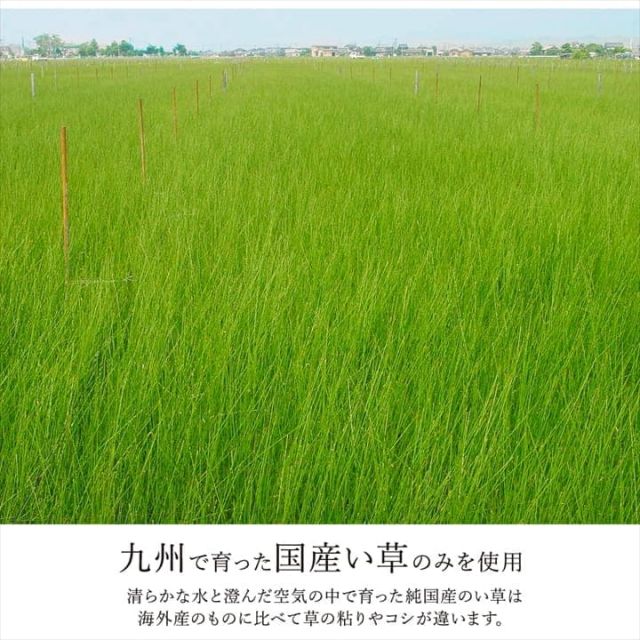 置き畳 ユニット畳 システム畳 国産 日本製 ナチュラルスタイル い草 消臭 抗菌防臭 市松 約82×82×2.3cm 単品