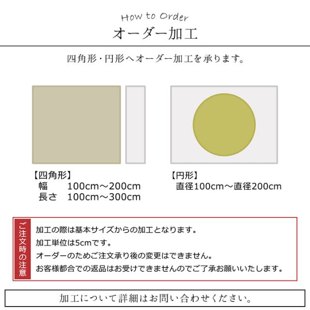 日本 抗菌 消臭 清潔 オーダー ラグ カーペット 防炎 アレルキャッチャー 抗アレル物質 ダニ対策 シャギー 無地 約3.2畳 約200×250cm