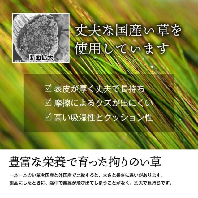純国産 い草 上敷き 上質ない草で作った カーペット 双目織 江戸間6畳(約261×352cm）