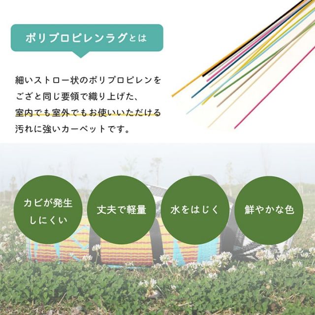 日本製 洗える レジャー シート アウトドア お手入れ 持ち運び 便利 簡単 楽 PP ポリプロピレン ネイティブ カラフル 約87×140cm
