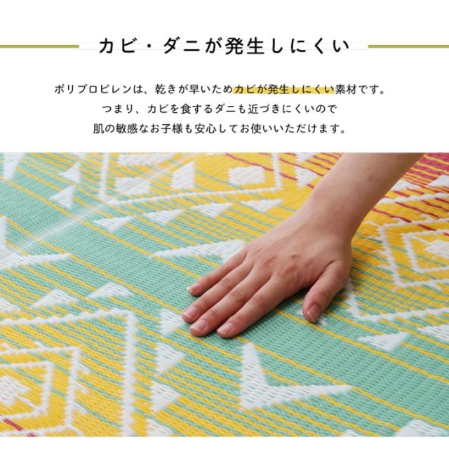 日本製 洗える レジャー シート アウトドア お手入れ 持ち運び 便利 簡単 楽 PP ポリプロピレン ネイティブ カラフル 約87×140cm