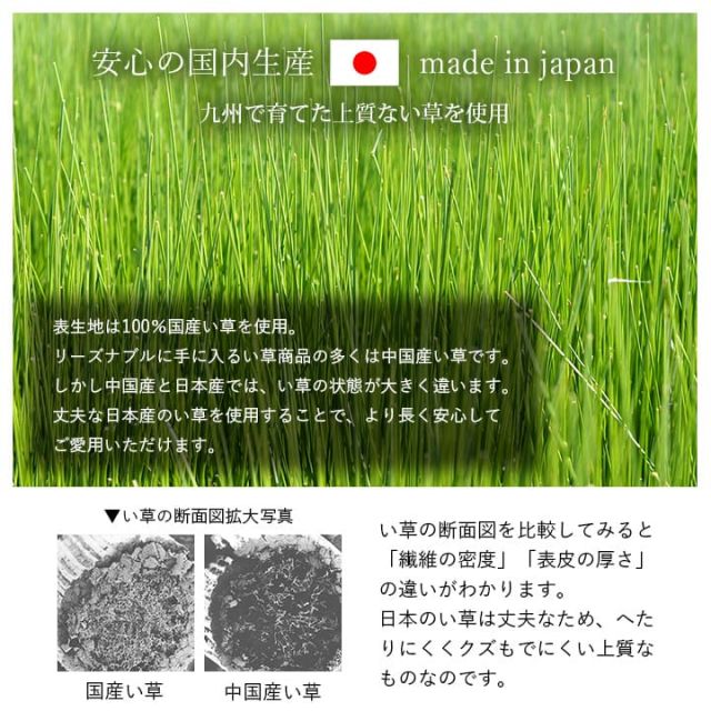 寝具 マット マットレス い草 国産 日本製 ボリューム くつろぎ プレゼント ギフト ラッピング 吸汗 調湿 消臭 お手入れ簡単 約70×150cm