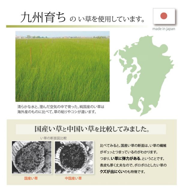 純国産 い草ごろ寝マット 『さわやか R縁Jrマット』 約70×120cm（中:固わた15mm）