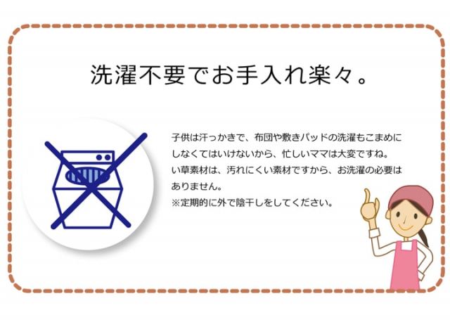 枕 まくら い草枕 消臭 ピロー 国産 無地 ベビー キッズ 『さわやか 平枕』 約30×20cm