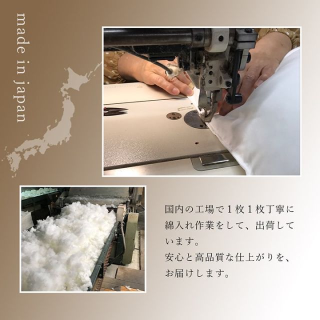 座布団 銘仙判 しじら 日本製 綿100% 和柄 約55×59cm 5枚組