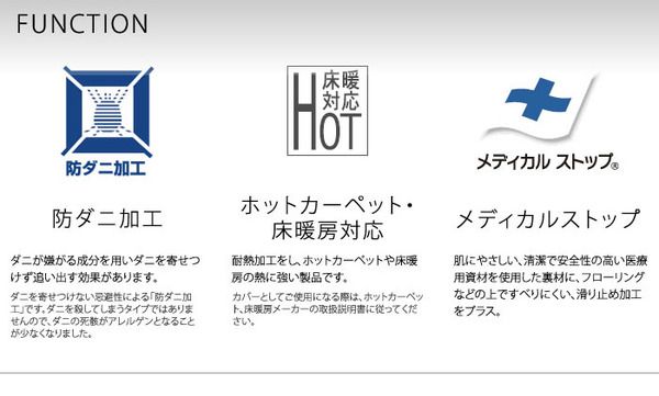 ラグマット 130cm×190cm スカイブルー 長方形 フレンチボーダー柄 日本製 マイナス6℃冷たいクールエコ2ラグ 『NEXTHOME』代引NG