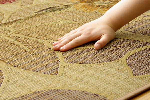 袋織 い草 ラグマット/絨毯 ブルー 約191×191cm 裏：不織布 日本製 防傷 抗菌 防臭 調湿機能付き 〔リビング〕代引NG