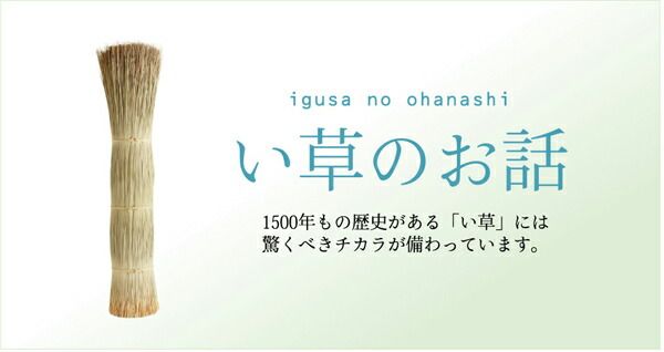 い草 ラグマット/絨毯 袋三重織 ブラウン 約140×200cm 日本製 裏：不織布 抗菌 防臭 調湿機能 消臭 〔リビング〕代引NG