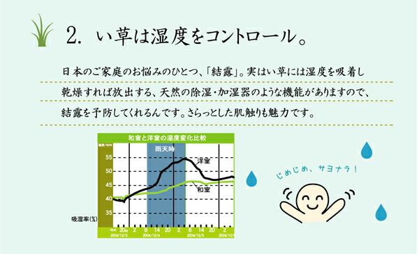い草 ラグマット/絨毯 袋三重織 グリーン 約191×191cm 日本製 裏：不織布 抗菌 防臭 調湿機能 消臭 〔リビング〕代引NG