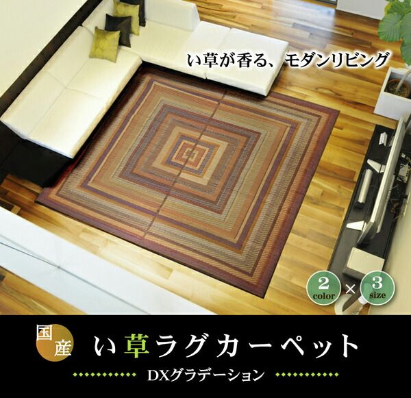 い草 ラグマット/絨毯 袋三重織 グリーン 約191×191cm 日本製 裏：不織布 抗菌 防臭 調湿機能 消臭 〔リビング〕代引NG