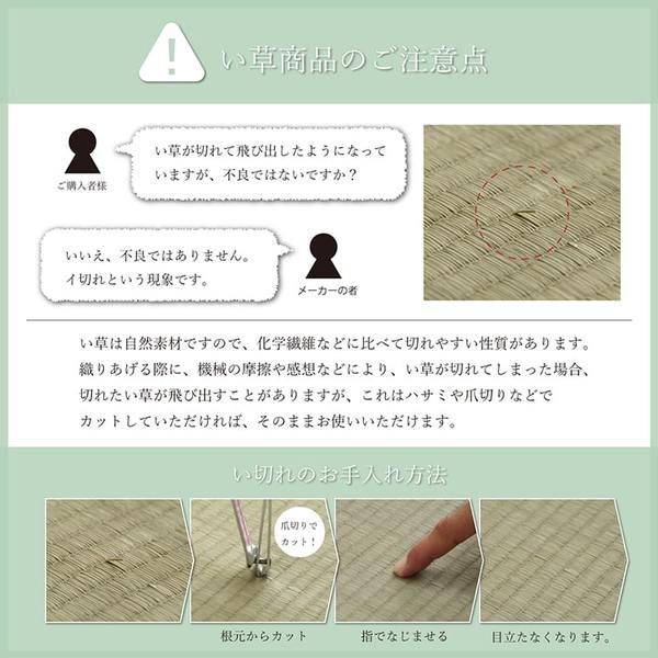 国産 い草 い草シーツ ネゴザ 寝ござ シンプル さらさら グリーン シングル 約88×180cm代引NG