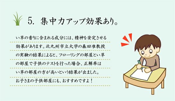 日本製 い草 ラグマット/絨毯 ブラウン 約191×191cm 防音 ボリューム仕様 裏ソフトテック15mm 調湿 抗菌 防臭 〔リビング〕代引NG