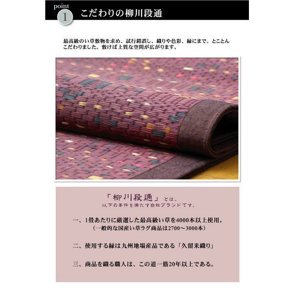い草 ラグマット/絨毯 柳川段通 三重織 ブラウン 約191×191cm 日本製 抗菌 防臭 調湿機能付 〔リビング ダイニング〕代引NG
