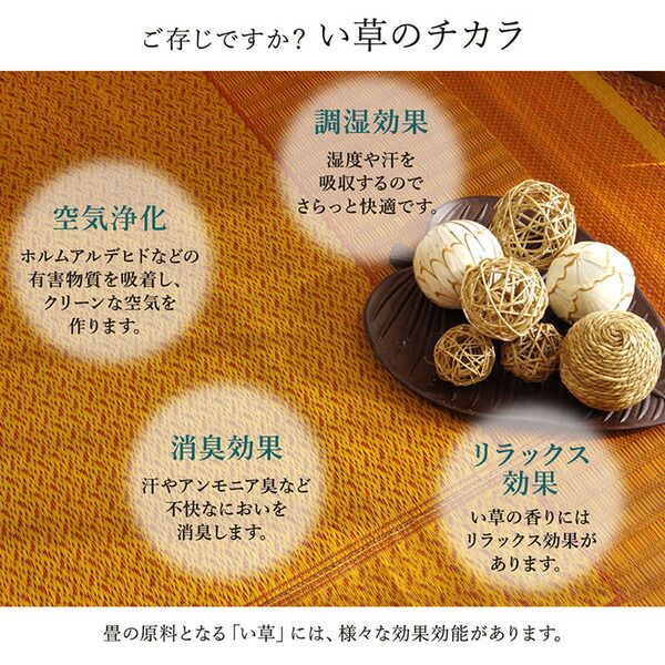 モダン い草 ラグマット/絨毯 ワイン 約191×300cm 日本製 抗菌 防臭 自然素材 モダン 調湿 空気清浄効果代引NG