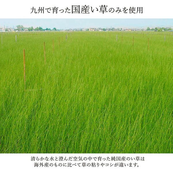 モダン い草 ラグマット/絨毯 ワイン 約191×300cm 日本製 抗菌 防臭 自然素材 モダン 調湿 空気清浄効果代引NG