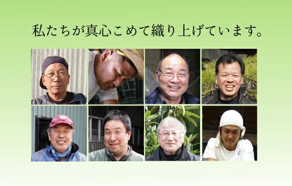 い草 花ござ/ラグマット ブロック柄 グリーン 江戸間8畳 約348×352cm 日本製 耐久性抜群 抗菌 防臭 調湿 〔リビング〕代引NG カーペット・マット・畳 マット