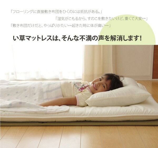 折りたたみ マットレスい草マットレス シングル100×210cm代引NG