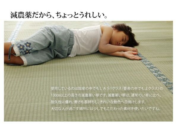 い草 上敷き/ラグマット 糸引織 三六間8畳 約364×364cm 抗菌 防臭 調湿 日本製 減農薬栽培 熊本県八代産イ草使用代引NG カーペット・マット・畳 マット