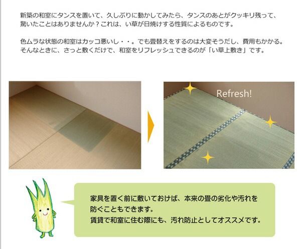 い草 上敷き/ラグマット 糸引織 三六間8畳 約364×364cm 抗菌 防臭 調湿 日本製 減農薬栽培 熊本県八代産イ草使用代引NG カーペット・マット・畳 マット