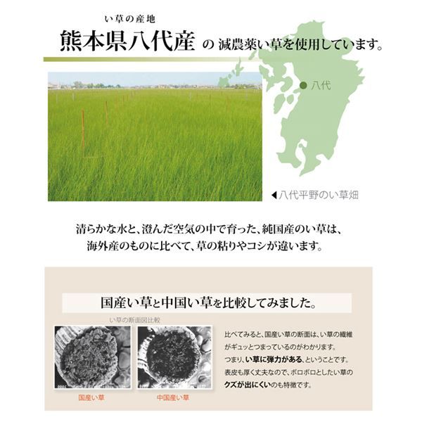 い草 上敷き/ラグマット 糸引織 六一間8畳 約370×370cm 抗菌 防臭 調湿 日本製 減農薬栽培 熊本県八代産イ草使用代引NG カーペット・マット・畳 マット