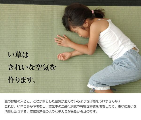い草 上敷き/ラグマット 麻綿織 江戸間2畳 約176×176cm 抗菌 防臭 調湿 消臭 日本製 熊本県八代産イ草使用 〔リビング〕代引NG カーペット・マット・畳 マット
