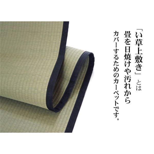い草 上敷き/ラグマット 麻綿織 江戸間3畳 約176×261cm 抗菌 防臭 調湿 消臭 日本製 熊本県八代産イ草使用 〔リビング〕代引NG カーペット・マット・畳 マット