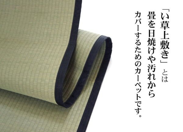 い草 上敷き/ラグマット 麻綿織 江戸間8畳 約352×352cm 抗菌 防臭 調湿 消臭 日本製 熊本県八代産イ草使用 〔リビング〕代引NG カーペット・マット・畳 マット