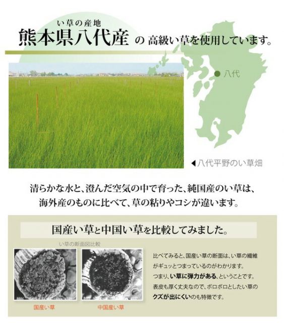 い草 上敷き/ラグマット 麻綿織 本間10畳 約477×382cm 抗菌 防臭 調湿 消臭 日本製 熊本県八代産イ草使用 〔リビング〕代引NG カーペット・マット・畳 マット