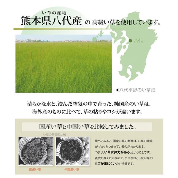 い草 上敷き/ラグマット 麻綿織 本間10畳 約477×382cm 抗菌 防臭 調湿 消臭 日本製 熊本県八代産イ草使用 〔リビング〕代引NG カーペット・マット・畳 マット
