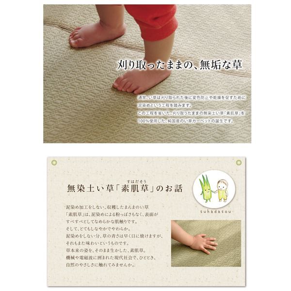 い草 ラグマット/絨毯 約191×191cm デニム 日本製 無染土 裏地ウレタン 調湿 弾力性 耐久性 〔リビング ダイニング〕代引NG