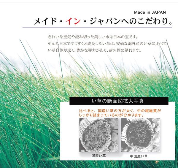 日本製 い草 ラグマット オリエンタル柄 ブラウン 約191×191cm 抗菌 防臭 調湿機能付 〔リビング ダイニング〕代引NG