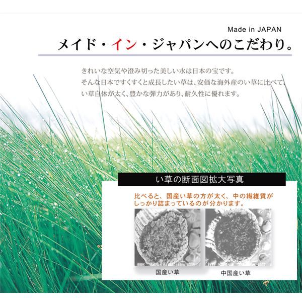 日本製 い草 ラグマット オリエンタル柄 グリーン 約191×191cm 抗菌 防臭 調湿機能付 〔リビング ダイニング〕代引NG