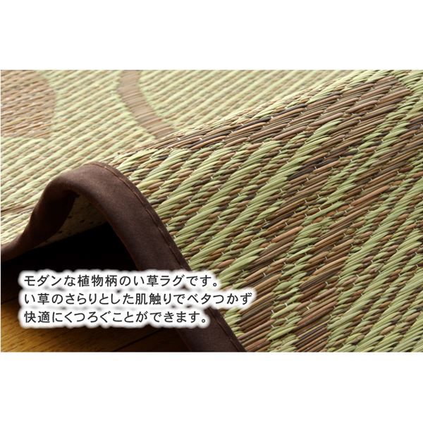 い草 ラグマット/絨毯 リーフ柄 グリーン 約191×191cm 正方形 防滑加工 抗菌防臭 調湿 消臭 〔リビング〕代引NG