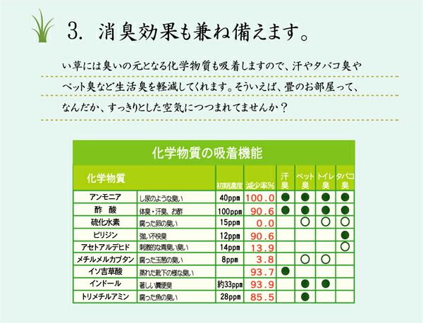 となりのトトロ い草 ラグマット/絨毯 176×176cm 日本製 抗菌 防臭 調湿効果 弾力性 耐久性抜群 〔リビング〕代引NG