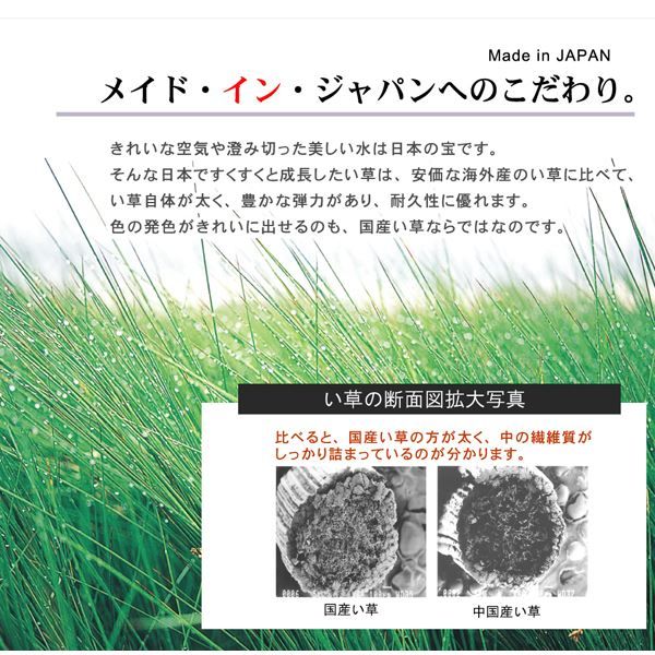 となりのトトロ い草 ラグマット/絨毯 176×176cm 日本製 抗菌 防臭 調湿効果 弾力性 耐久性抜群 〔リビング〕代引NG