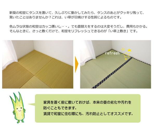 い草 上敷き/ラグマット 無地 江戸間4.5畳 約261×261cm はっ水 抗菌 防臭 調湿 リバーシブル 『撥水 湖水』 〔リビング〕代引NG