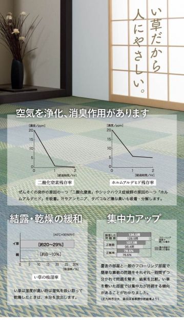 い草 ラグマット/花ござ 6畳 格子柄 市松柄 ブラウン 本間6畳 約286×382cm 抗菌防臭 消臭 調湿 〔リビング〕代引NG