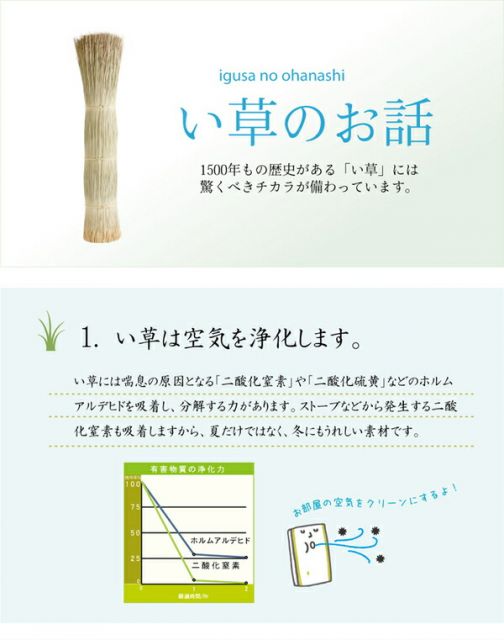 い草 ラグマット/絨毯 6畳 ブルー 約240×320cm 撥水 防傷 抗菌 防臭 消臭 折りたたみ収納可 中：ウレタン8mm 〔リビング〕代引NG