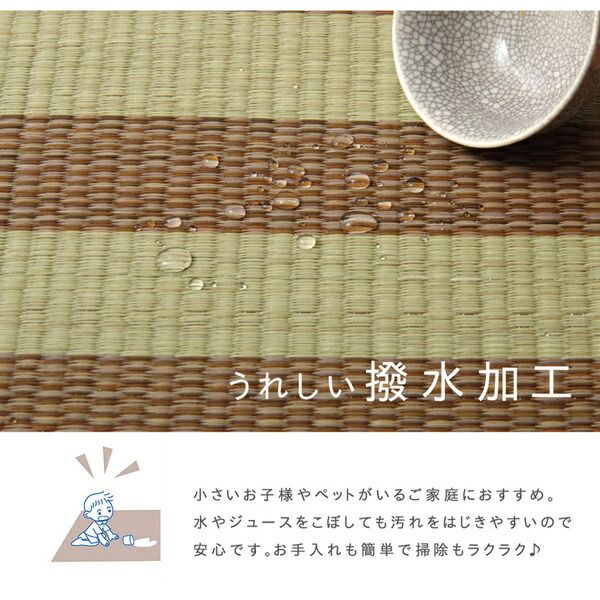い草 ラグマット/絨毯 6畳 ブラウン 約240×320cm 撥水 防傷 抗菌 防臭 消臭 折りたたみ収納可 中：ウレタン8mm 〔リビング〕代引NG
