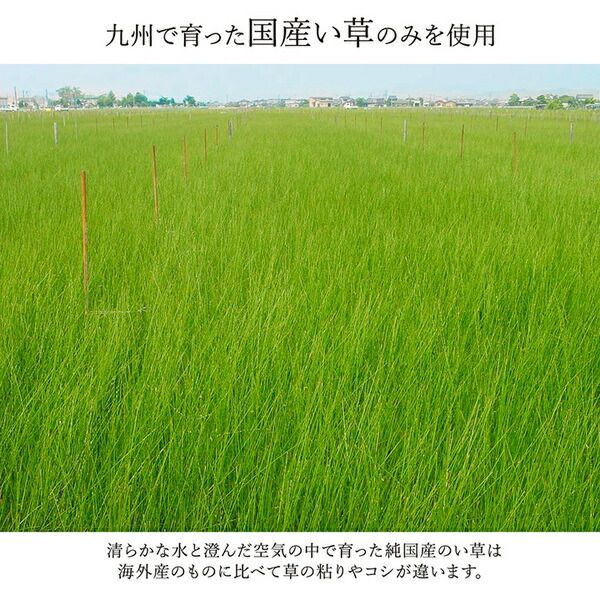 モダン い草 ラグマット/絨毯 ネイビー 裏面不織布 約140cm×200cm 日本製 抗菌 防臭 調湿代引NG