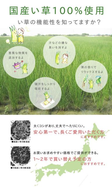 ふっくら い草 ラグマット/絨毯 グリーン 約191cm×250cm 日本製 抗菌 防臭 調湿 裏面ウレタン代引NG