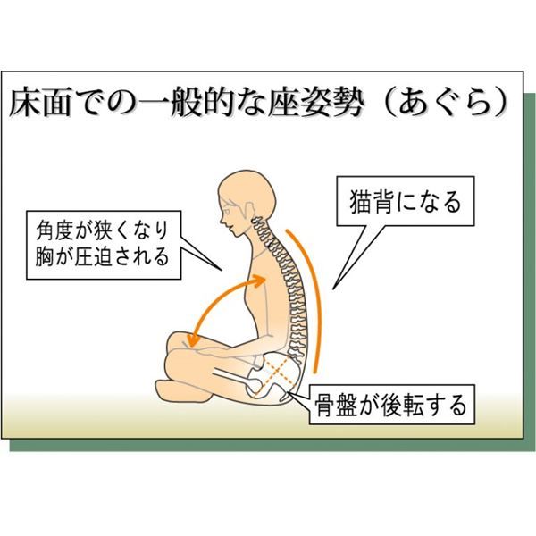 あぐら椅子/正座椅子 モスグリーン×ブラック 幅50cm 耐荷重80kg 日本製 スチール〔リビング〕代引NG