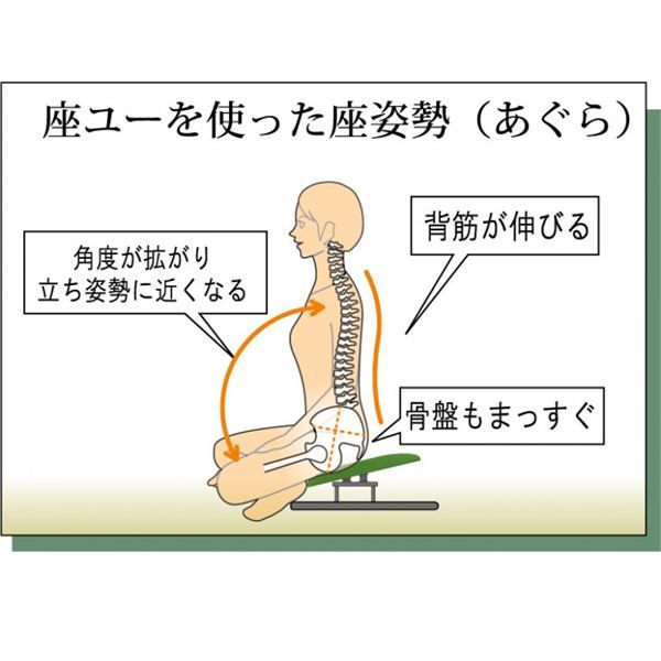 あぐら椅子/正座椅子 モスグリーン×ブラック 幅50cm 耐荷重80kg 日本製 スチール〔リビング〕代引NG