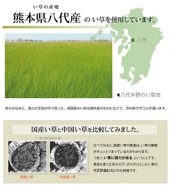 い草 上敷き/ラグマット 団地間4.5畳 約255×255cm 正方形 市松柄 日本製 抗菌 防臭 消臭 調湿 空気清浄代引NG