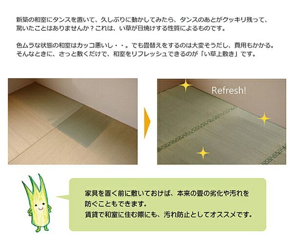 い草 上敷き/ラグマット 団地間6畳 約255×340cm 長方形 市松柄 日本製 抗菌 防臭 消臭 調湿 空気清浄代引NG