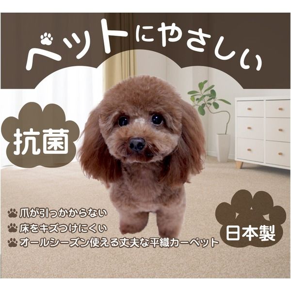 スーパSALE10倍＆4時間限定10％OFF カーペット ラグ 平織 抗菌 ペットの爪が引っかかりにくい レベルカット / 江戸間 2畳 176×176cm ブラック 日本製 ソレイユ 九装